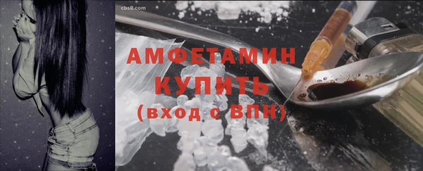 трава Беломорск