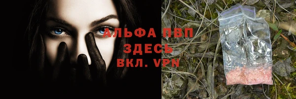соль ск Белокуриха