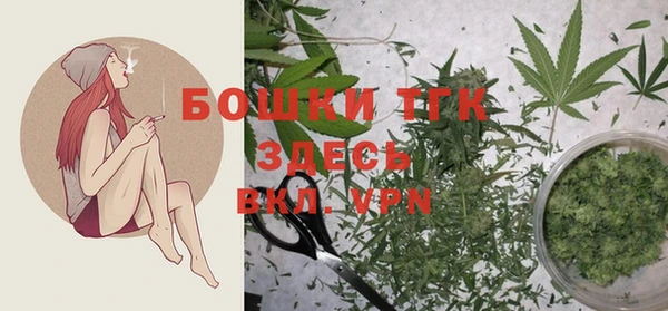 соль ск Белокуриха